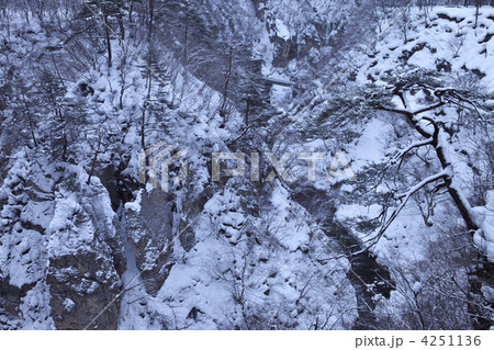 宮城　大崎市　鳴子峡 4251136