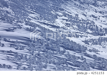 青森　八甲田山 4251153