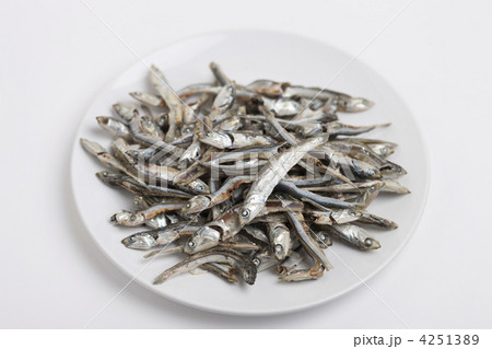 煮干し 煮干し 4251389