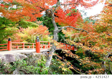 紅葉谷公園 4251427