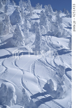 八甲田スキー 4251433