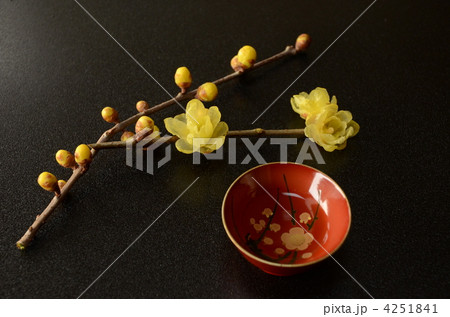 ロウバイと盃 4251841