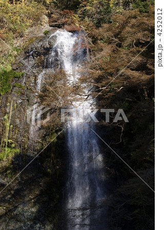 箕面の滝 4252012