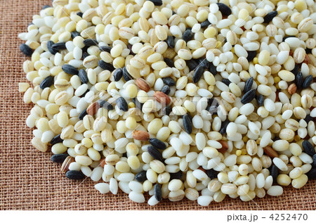 雑穀米 雑穀米 4252470