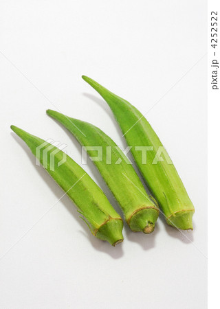 オクラ 4252522