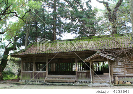 秋月八幡宮の社殿(カラー) 秋月八幡宮の社殿(カラー) 4252645
