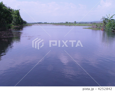 インレー湖の水路（インレー湖／ミャンマー） 4252842