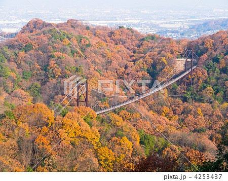 星田園地 星田園地 4253437