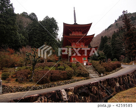 早春の雨に佇む長福寺三重の塔（重要文化財） 4259585