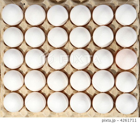 eggs in packing 4261711