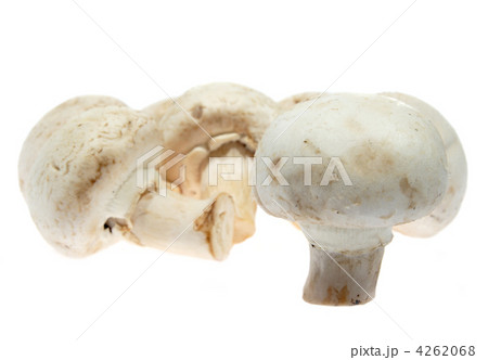 White mushrooms, champignon 4262068