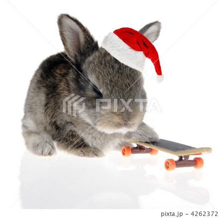 Little rabbit on a skateboard in Santa Claus hat 4262372