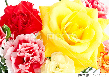 黄色いバラと様々なカーネーションのクローズアップ 4264386