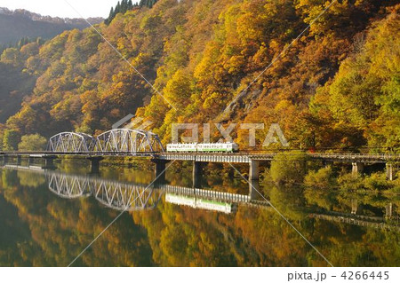 紅葉と第八只見川橋梁を渡る只見線 紅葉と第八只見川橋梁を渡る只見線 4266445