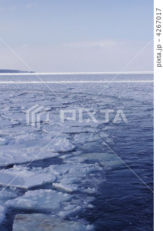 流氷 4267017