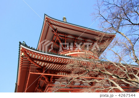 成田山新勝寺 平和大塔 成田山新勝寺 平和大塔 4267544