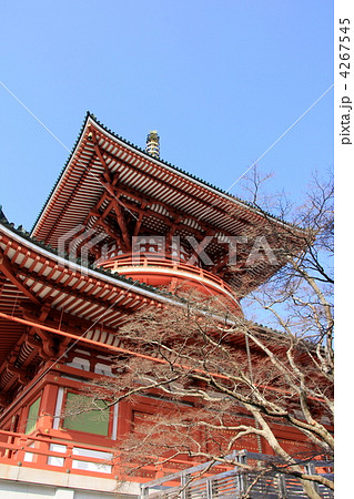 成田山新勝寺 平和大塔 成田山新勝寺 平和大塔 4267545