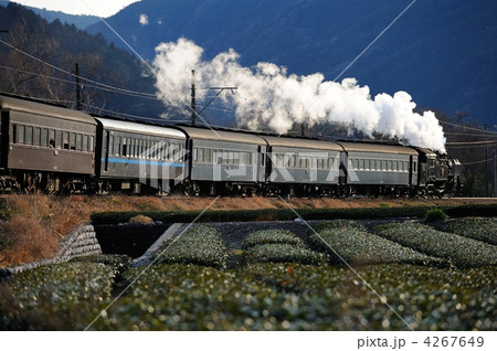 冬の蒸気機関車 冬の蒸気機関車 4267649
