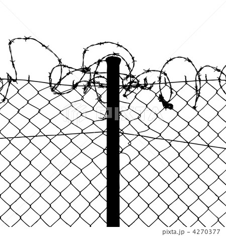 wired fence with barbed wires wired fence with barbed wires 4270377