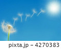illustration of dandelion flying seeds 4270383