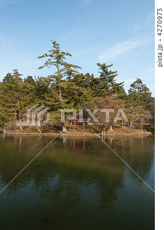 東大寺　鏡池と弁財天の祠 4270975