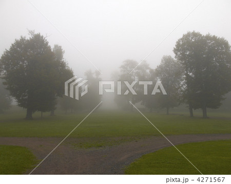 fog4 4271567