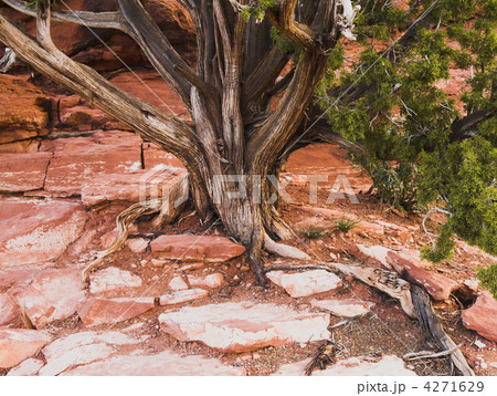 sedonas rocks 4271629