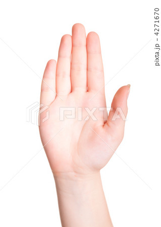 Palm Palm 4271670