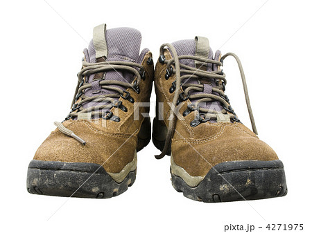 shoe 4271975