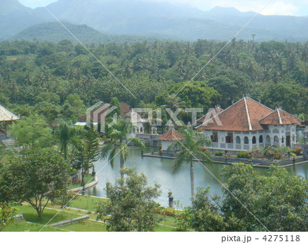 タマンウジュン4 4275118