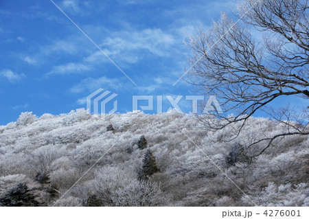 茶臼山の霧氷 4276001