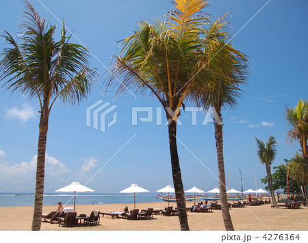 南国のバカンスイメージ 4276364