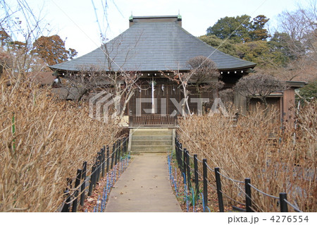 本土寺 本土寺 4276554