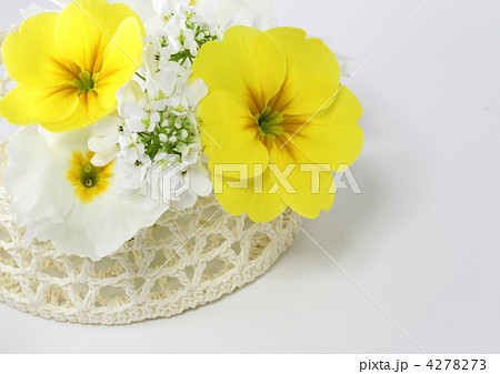 プリムラとイビリスの花篭 プリムラとイビリスの花篭 4278273