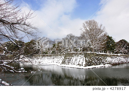 彦根城外濠・雪景色 4278917