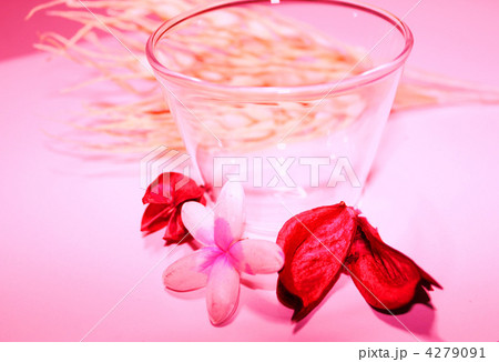 ポプリとグラス 4279091