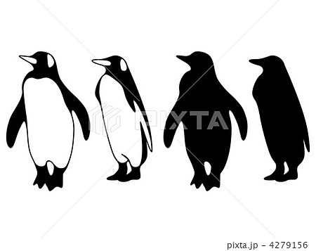 キングペンギン シルエット のイラスト素材