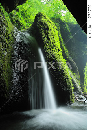 シワガラの滝 シワガラの滝 4279770