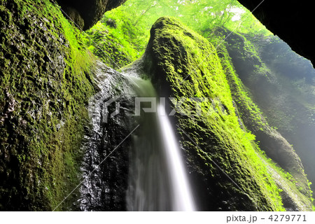 シワガラの滝 シワガラの滝 4279771