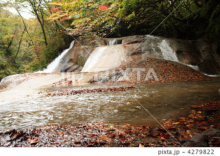 熊のすべり台 熊のすべり台 4279822