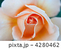 4280462