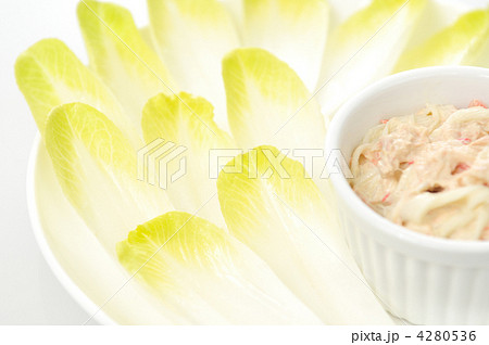 チコリ。 4280536