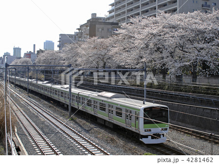 山手線と桜並木 山手線と桜並木 4281462