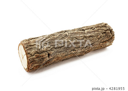 くぬぎ　のぼり木 4281955