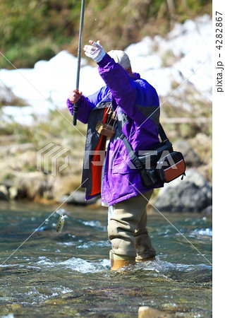 渓流釣り 4282867