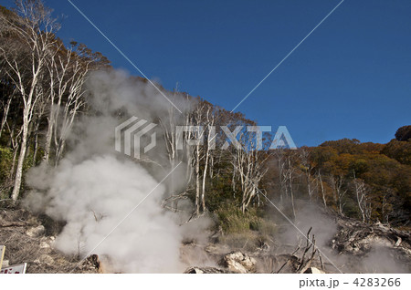 木地山の地熱 木地山の地熱 4283266