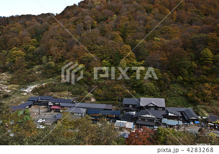 秋の泥湯温泉 秋の泥湯温泉 4283268