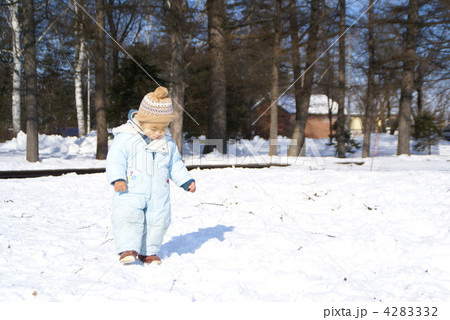 どさんこ どさんこ 4283332