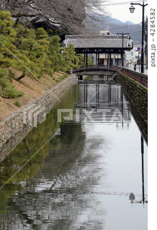 足利散歩・鑁阿寺 濠と土塁 足利散歩・鑁阿寺 濠と土塁 4284582