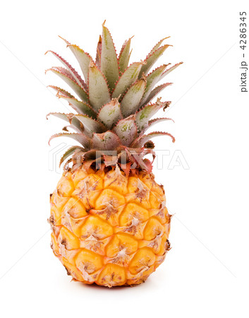 Pineapple 4286345